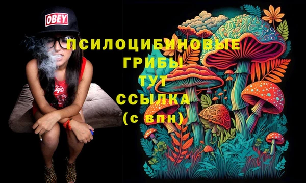 стаф Беломорск